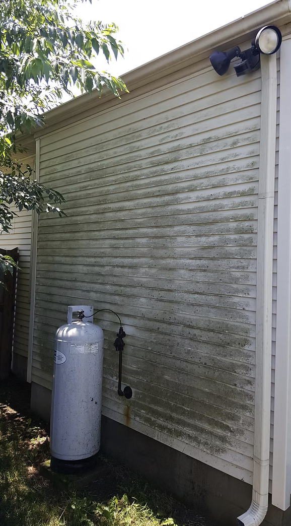 Dirty vinyl siding